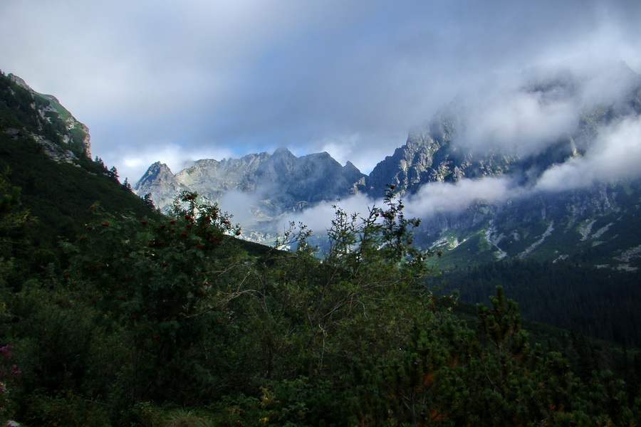 Kôprovský štít so psom (Vysoké Tatry)