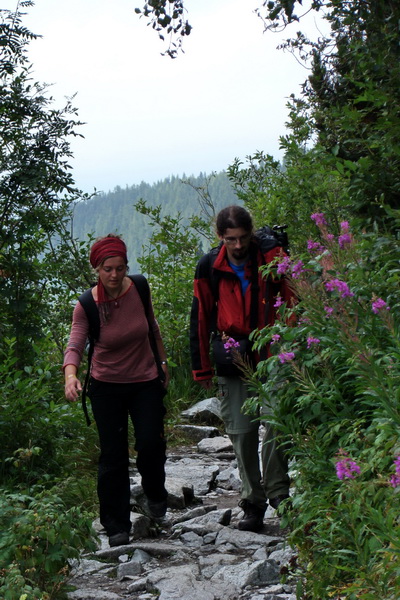 Kôprovský štít so psom (Vysoké Tatry)