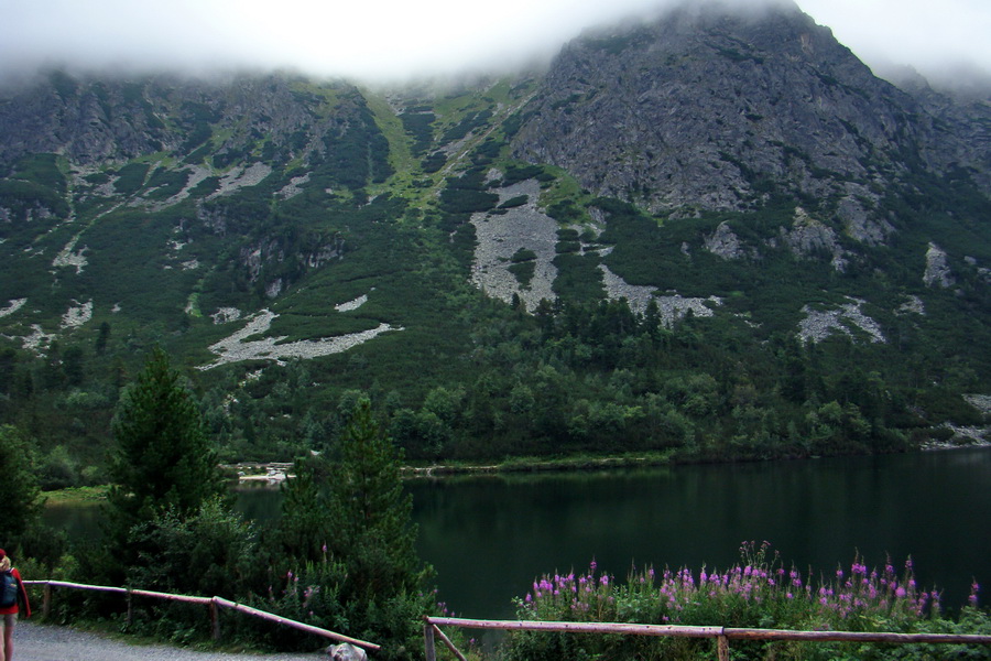 Kôprovský štít so psom (Vysoké Tatry)