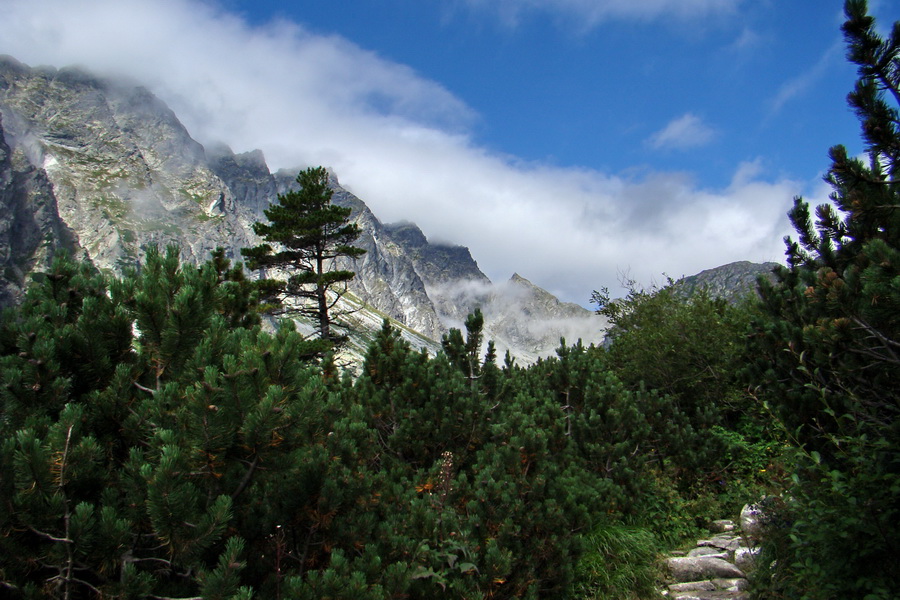 Kôprovský štít so psom (Vysoké Tatry)