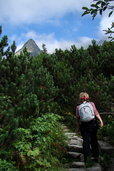 Kôprovský štít so psom (Vysoké Tatry)