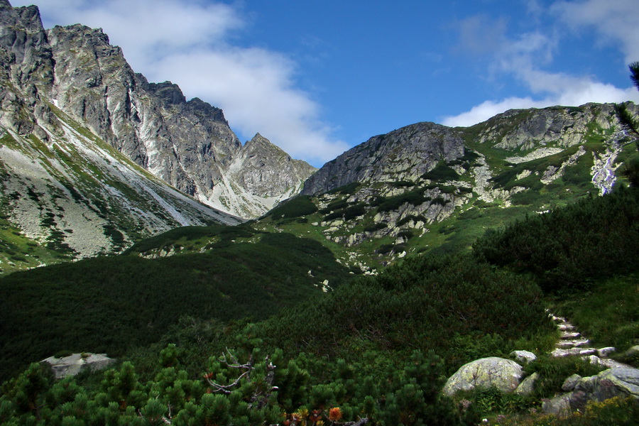 Kôprovský štít so psom (Vysoké Tatry)