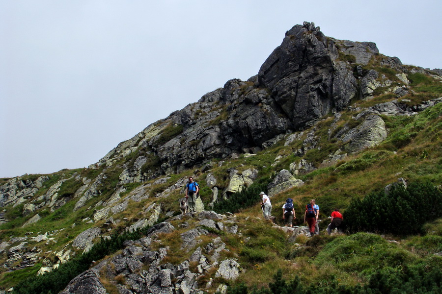 Kôprovský štít so psom (Vysoké Tatry)