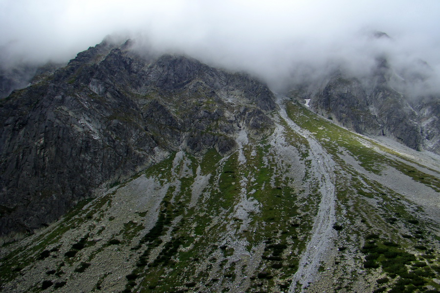 Kôprovský štít so psom (Vysoké Tatry)