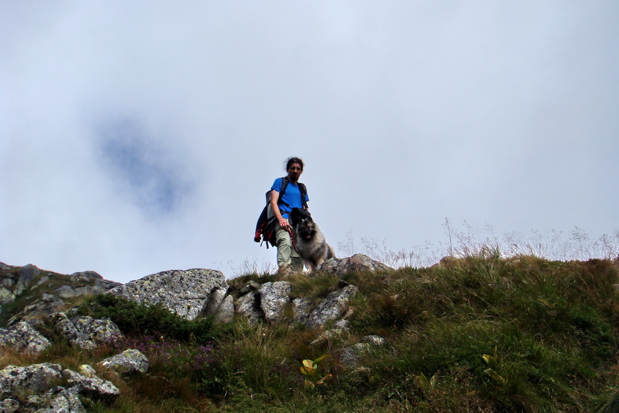 Kôprovský štít so psom (Vysoké Tatry)