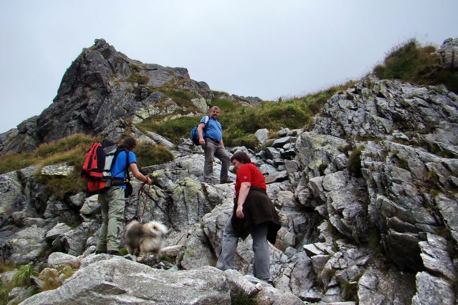 Kôprovský štít so psom (Vysoké Tatry)