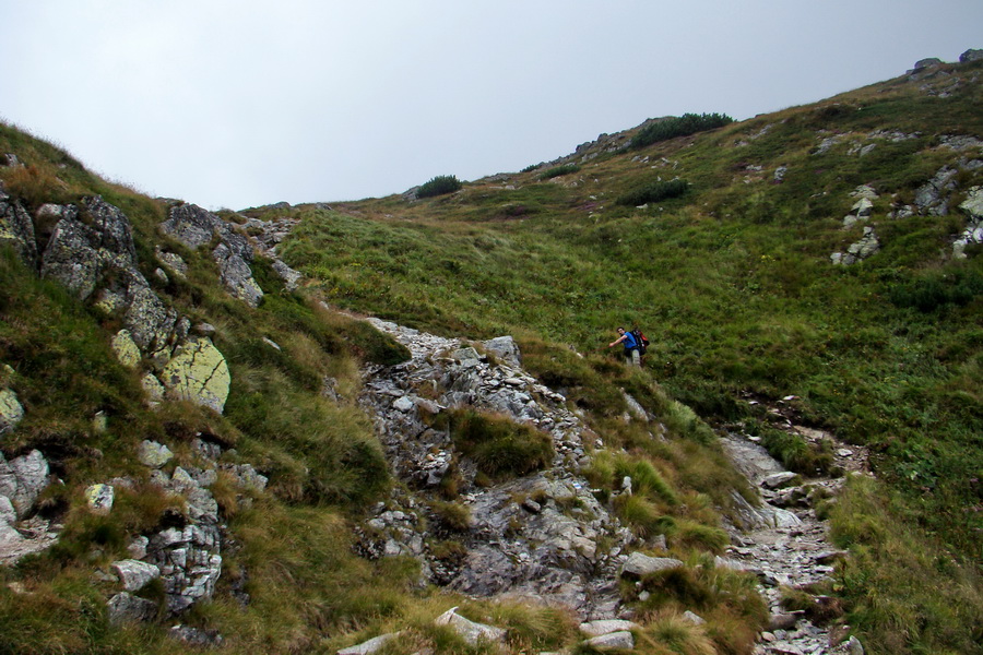 Kôprovský štít so psom (Vysoké Tatry)