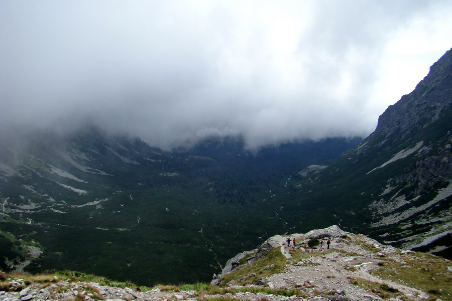 Kôprovský štít so psom (Vysoké Tatry)