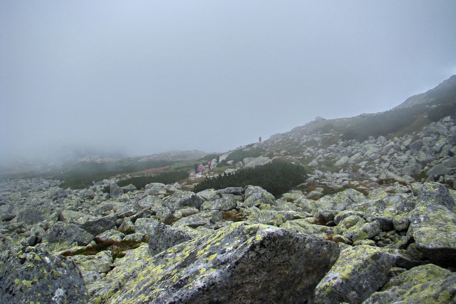 Kôprovský štít so psom (Vysoké Tatry)