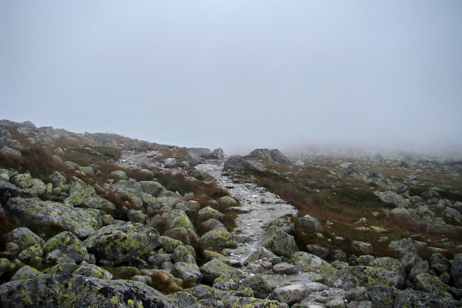 Kôprovský štít so psom (Vysoké Tatry)