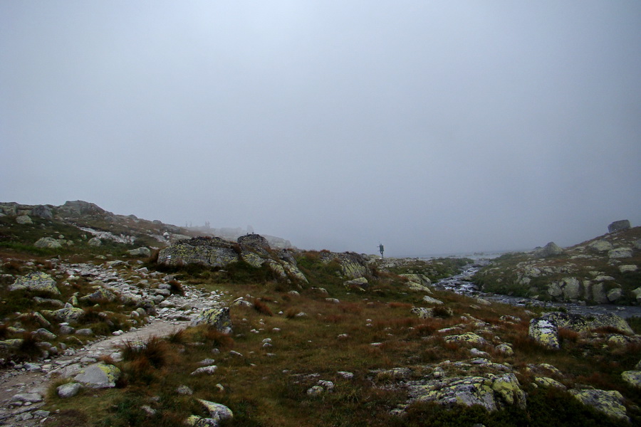 Kôprovský štít so psom (Vysoké Tatry)