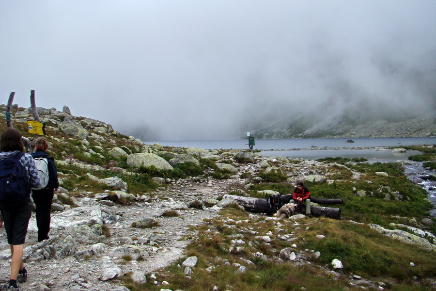 Kôprovský štít so psom (Vysoké Tatry)