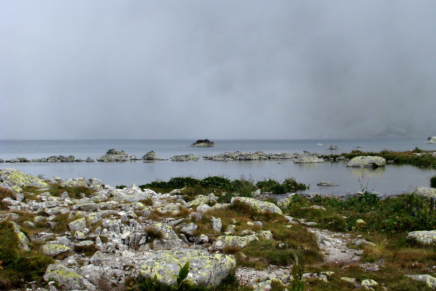 Kôprovský štít so psom (Vysoké Tatry)