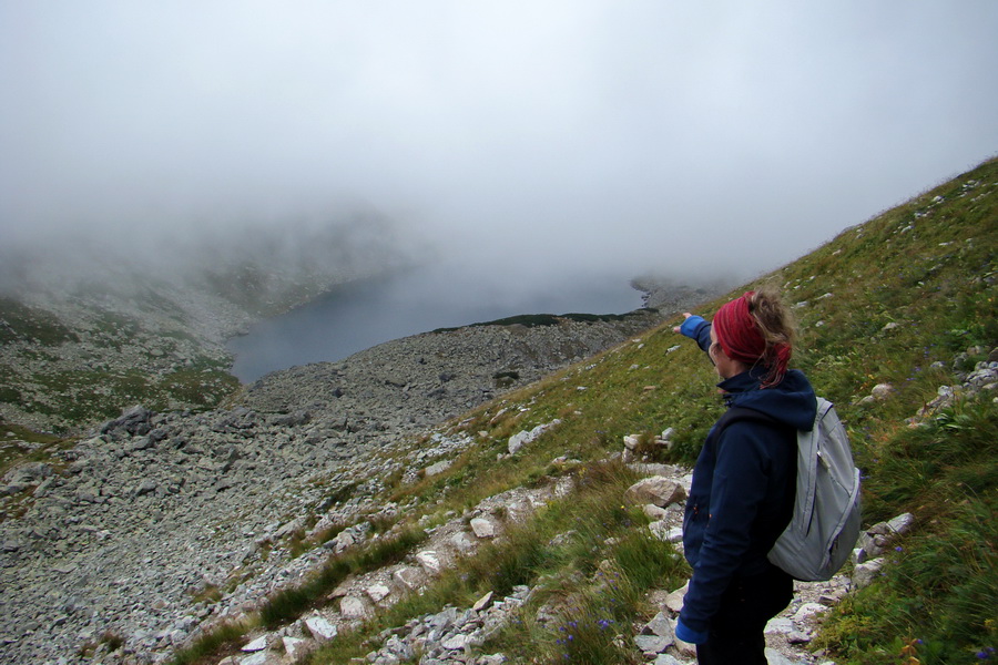 Kôprovský štít so psom (Vysoké Tatry)