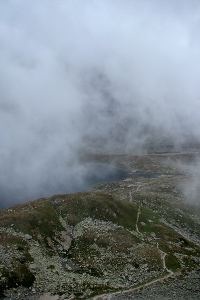 Kôprovský štít so psom (Vysoké Tatry)