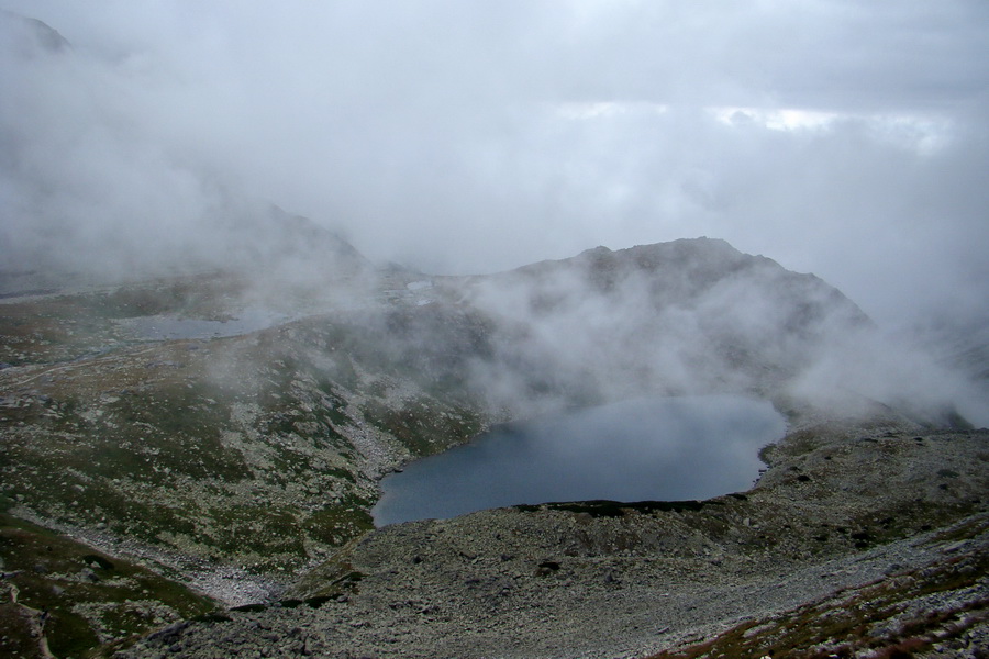 Kôprovský štít so psom (Vysoké Tatry)