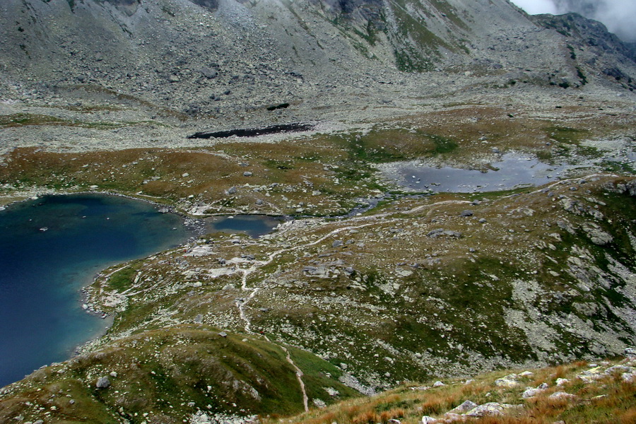 Kôprovský štít so psom (Vysoké Tatry)