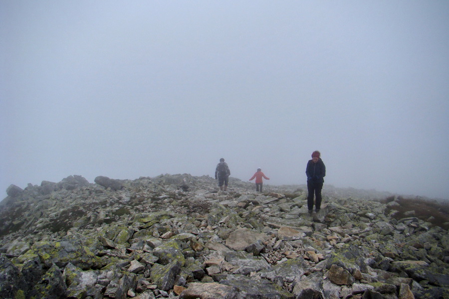 Kôprovský štít so psom (Vysoké Tatry)