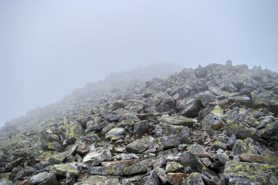 Kôprovský štít so psom (Vysoké Tatry)