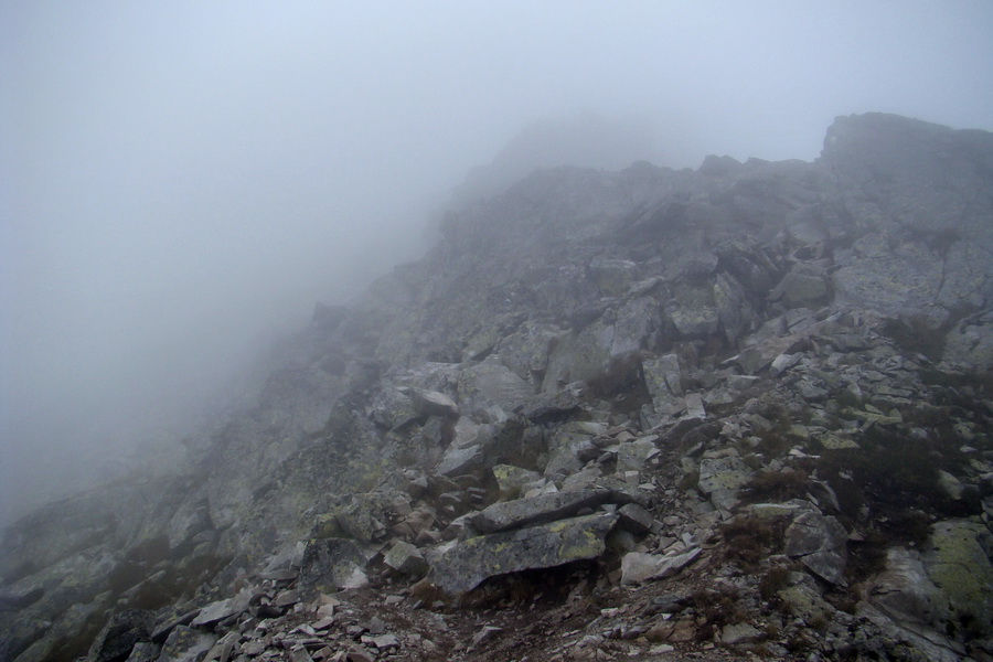 Kôprovský štít so psom (Vysoké Tatry)