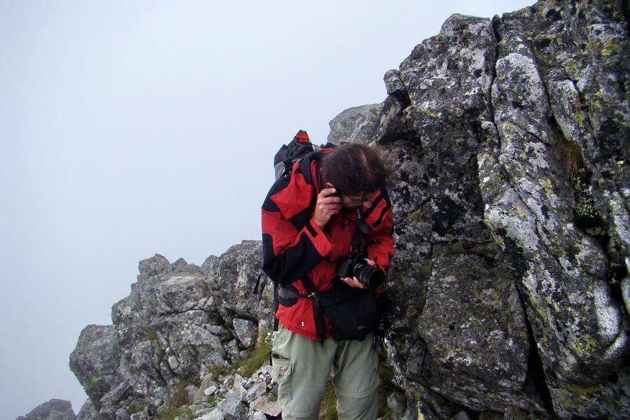 Kôprovský štít so psom (Vysoké Tatry)