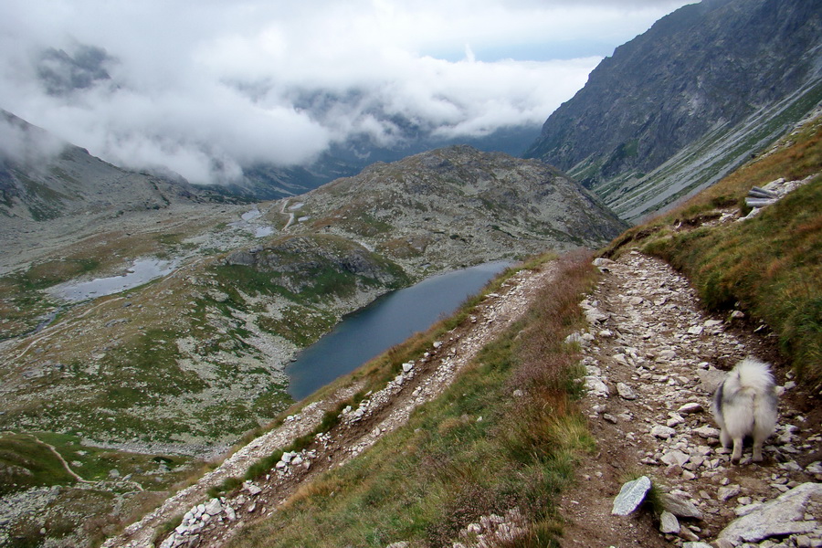 Kôprovský štít so psom (Vysoké Tatry)