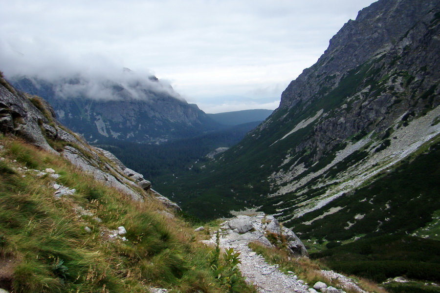 Kôprovský štít so psom (Vysoké Tatry)