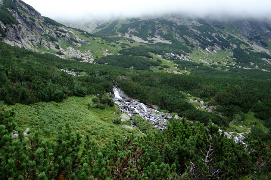 Kôprovský štít so psom (Vysoké Tatry)