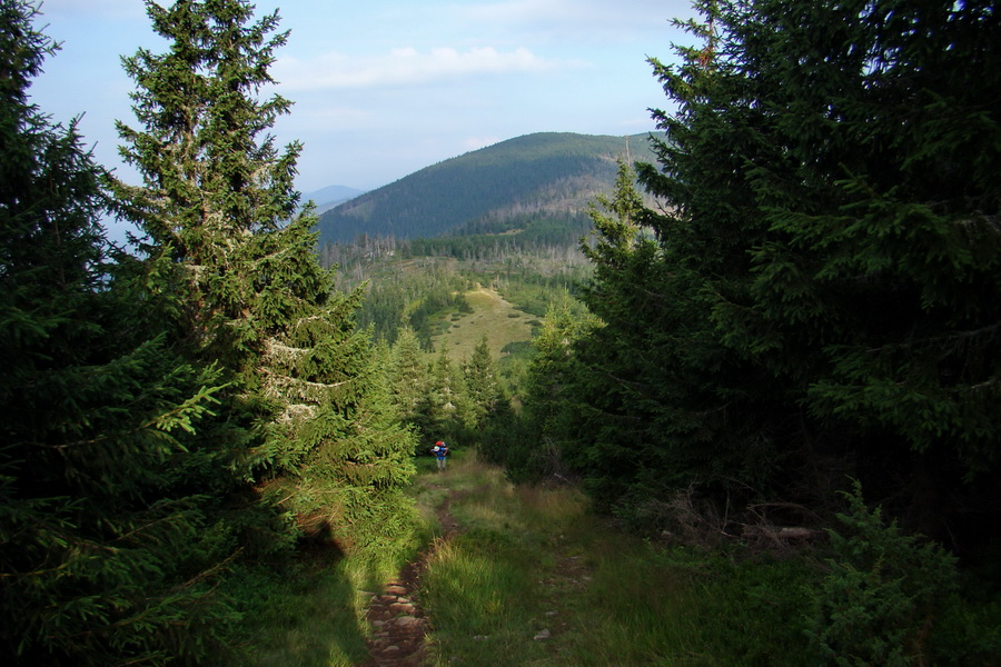 Kráľova hoľa z Andrejcovej (Nízke Tatry)