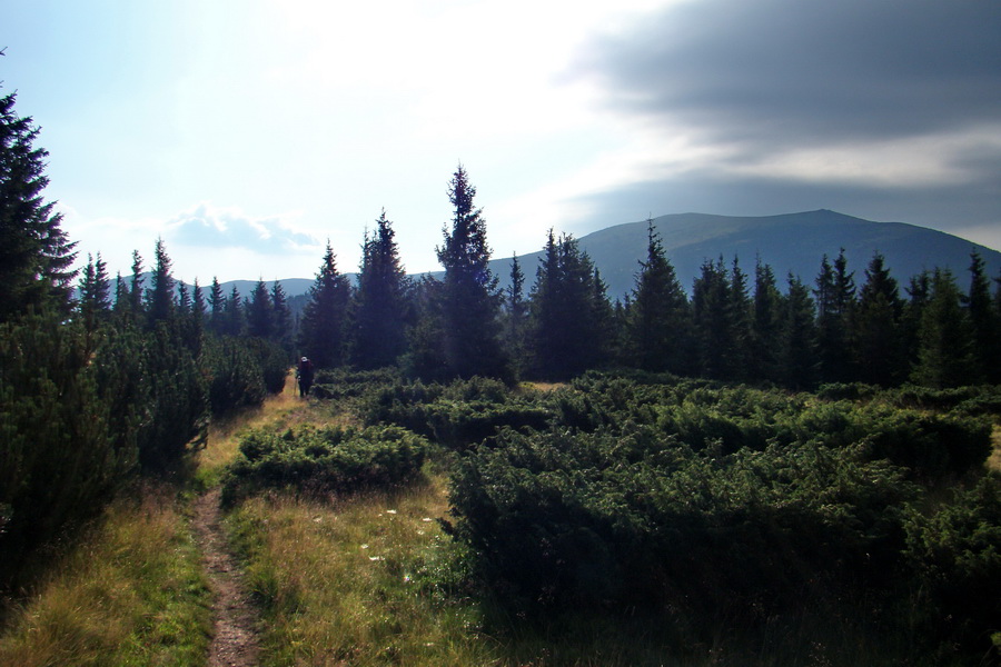 Kráľova hoľa z Andrejcovej (Nízke Tatry)