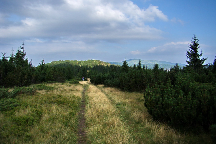 Kráľova hoľa z Andrejcovej (Nízke Tatry)