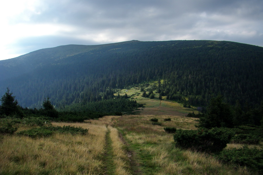 Kráľova hoľa z Andrejcovej (Nízke Tatry)