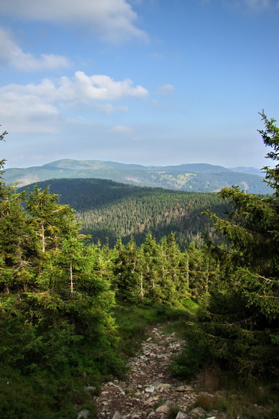 Kráľova hoľa z Andrejcovej (Nízke Tatry)