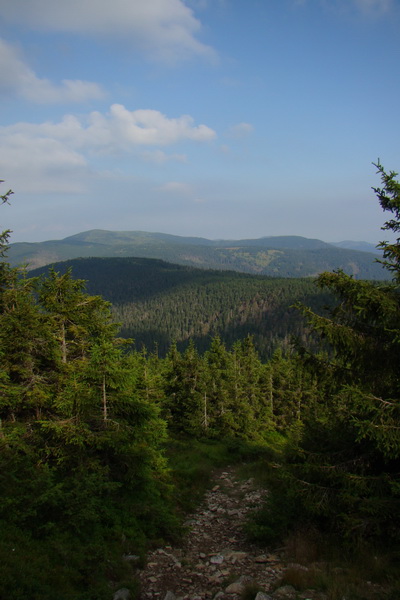 Kráľova hoľa z Andrejcovej (Nízke Tatry)