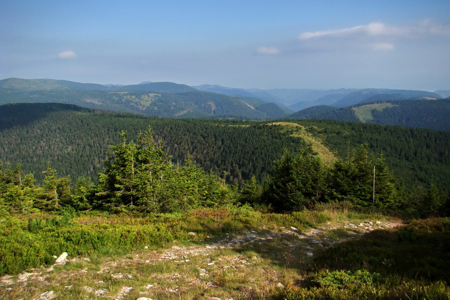 Kráľova hoľa z Andrejcovej (Nízke Tatry)