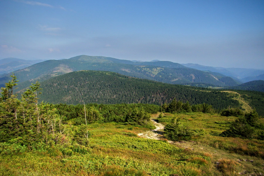 Kráľova hoľa z Andrejcovej (Nízke Tatry)