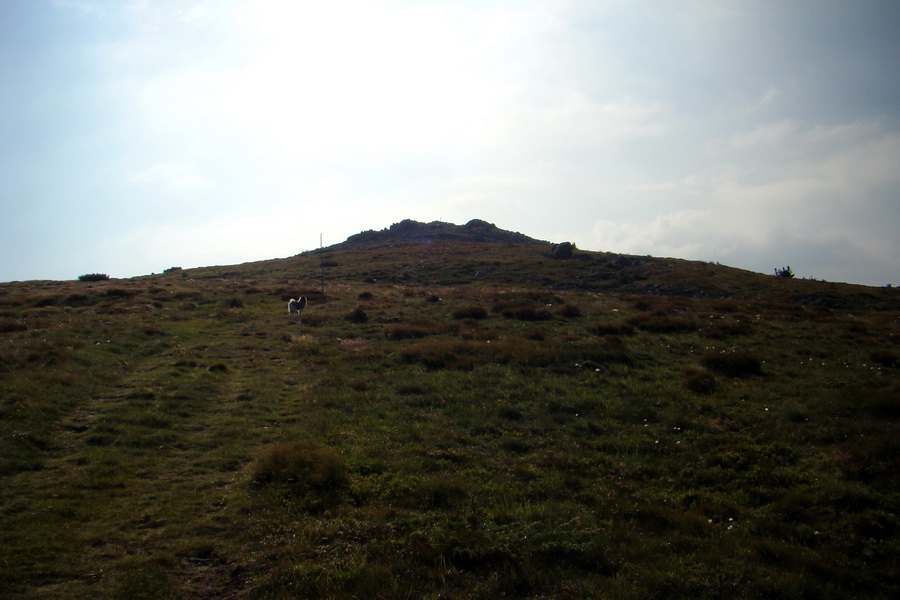 Kráľova hoľa z Andrejcovej (Nízke Tatry)