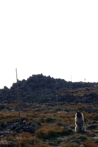 Kráľova hoľa z Andrejcovej (Nízke Tatry)