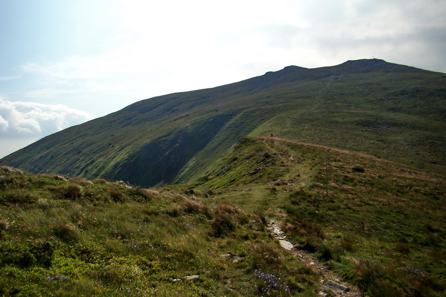 Kráľova hoľa z Andrejcovej (Nízke Tatry)