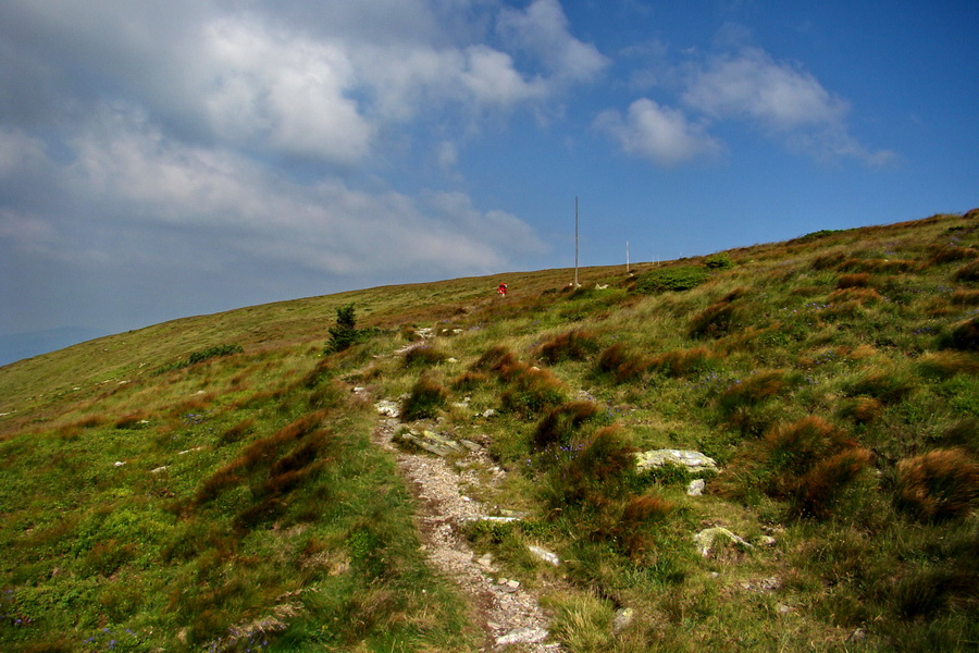 Kráľova hoľa z Andrejcovej (Nízke Tatry)