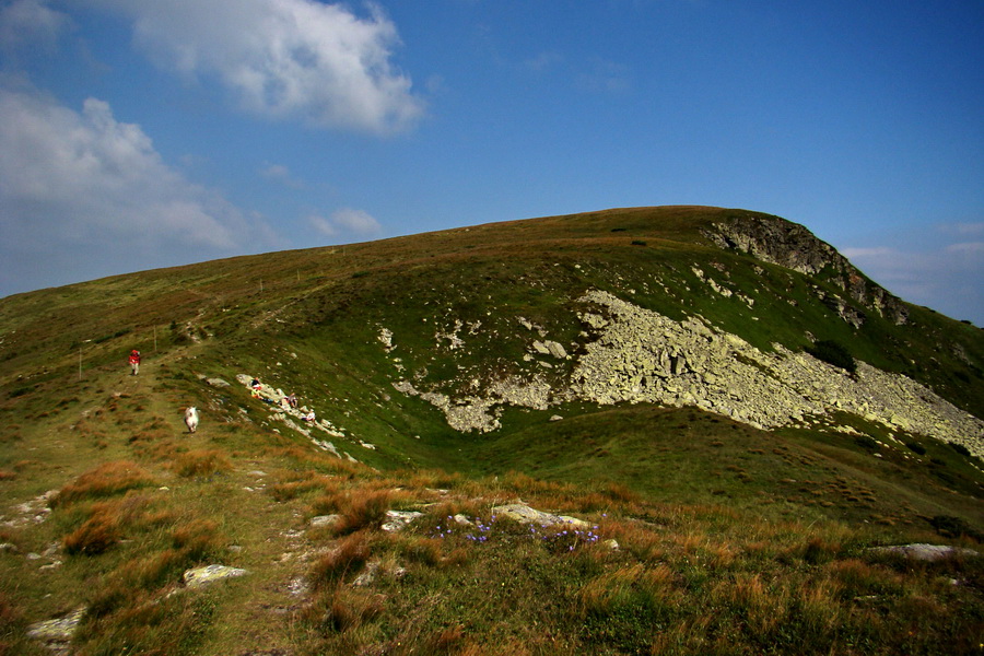 Kráľova hoľa z Andrejcovej (Nízke Tatry)