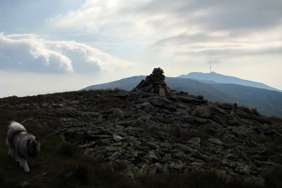 Kráľova hoľa z Andrejcovej (Nízke Tatry)