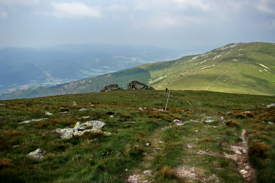 Kráľova hoľa z Andrejcovej (Nízke Tatry)