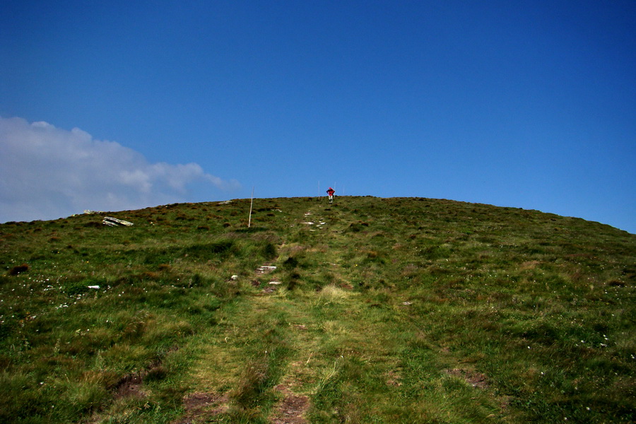 Kráľova hoľa z Andrejcovej (Nízke Tatry)