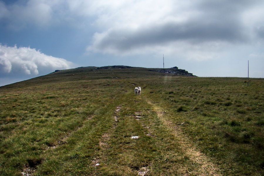 Kráľova hoľa z Andrejcovej (Nízke Tatry)