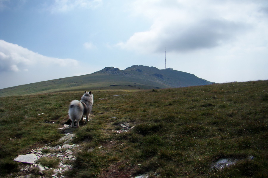 Kráľova hoľa z Andrejcovej (Nízke Tatry)