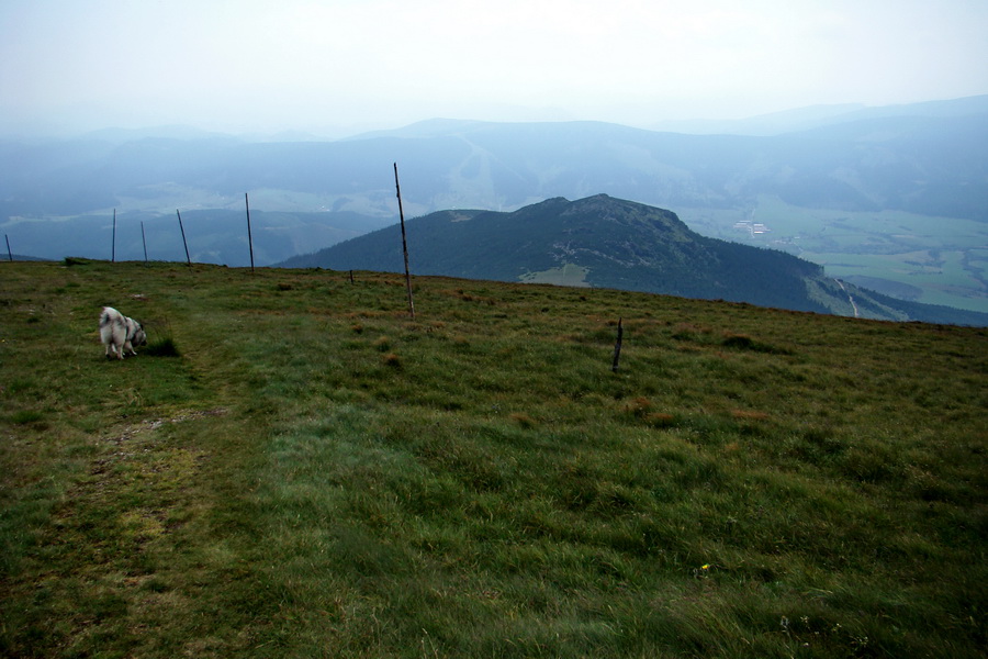 Kráľova hoľa z Andrejcovej (Nízke Tatry)