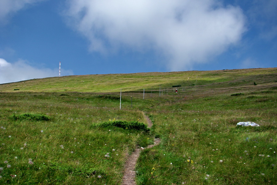 Kráľova hoľa z Andrejcovej (Nízke Tatry)