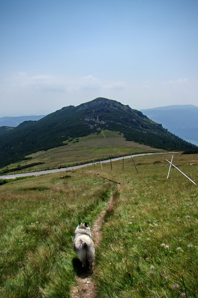 Kráľova hoľa z Andrejcovej (Nízke Tatry)