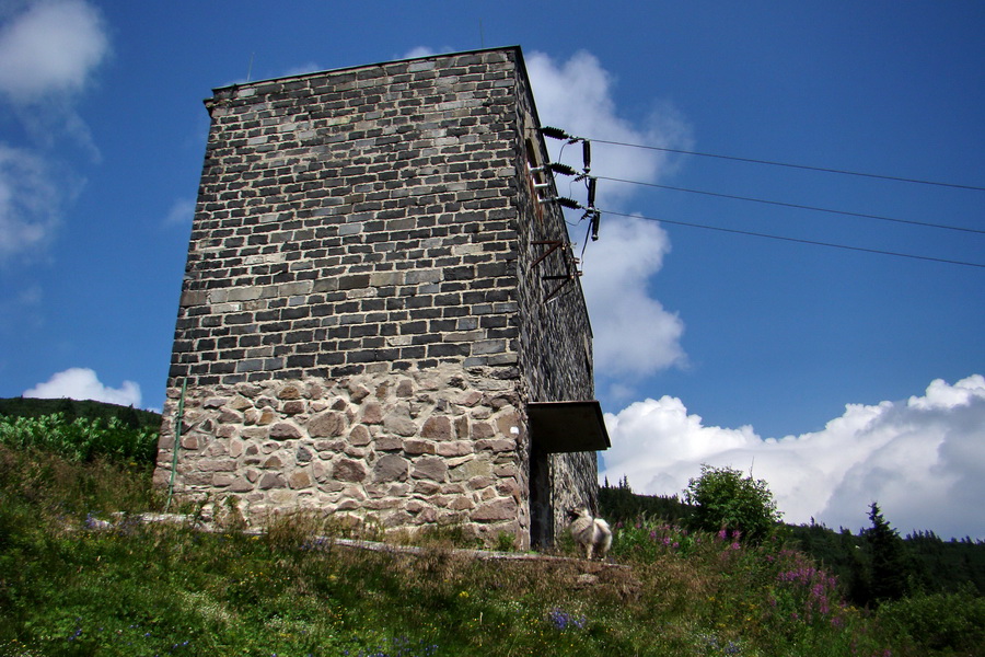 Kráľova hoľa z Andrejcovej (Nízke Tatry)